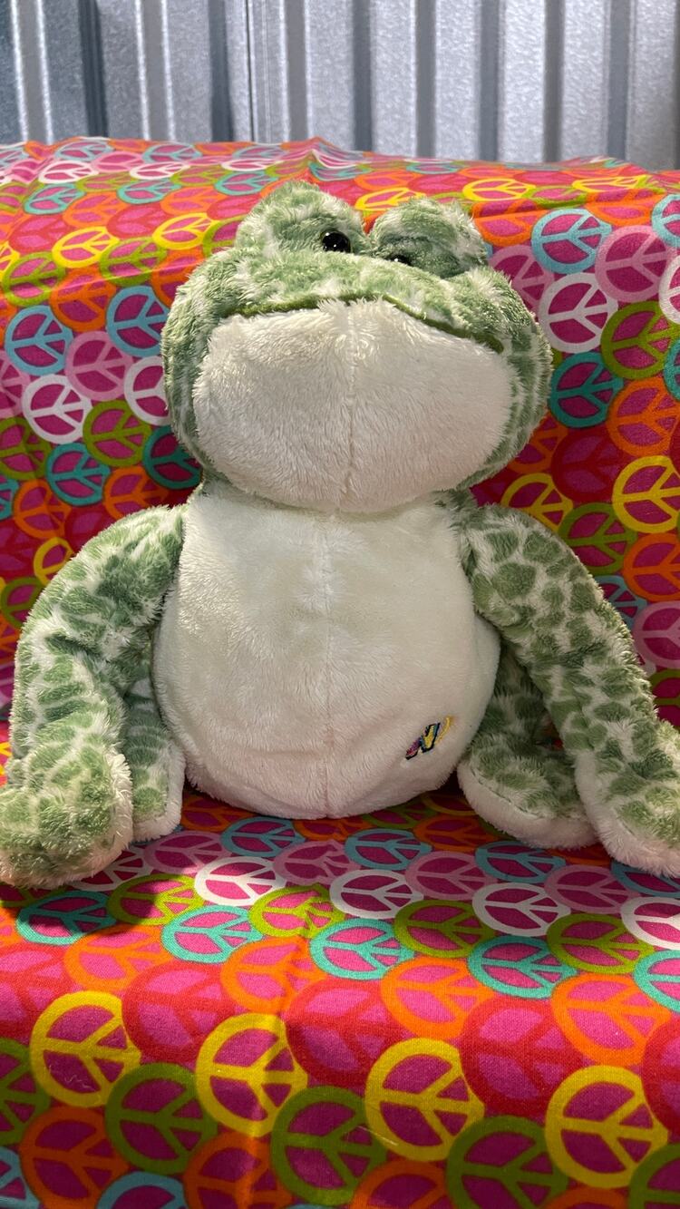 Spotted Frog HM142 Webkinz Plush No Code by Ganz
